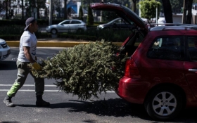 Cambia t&uacute; &aacute;rbol de navidad por entradas #Gratis a Africam Safari