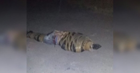 Las condiciones en las que fue hallado, confirman que se trat&oacute; de una muerte violenta