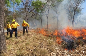 Puebla se encuentra en el tercer lugar nacional en n&uacute;mero de incendios con 82