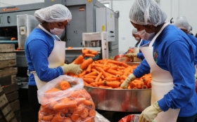 2021, a&ntilde;o r&eacute;cord para Puebla en exportaciones de textiles, prendas y agricultura
