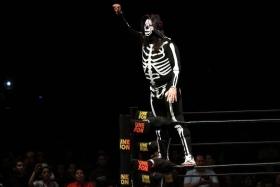 Jes&uacute;s Alfonso Huerta Escoboza: &lsquo;La Parka&rsquo;