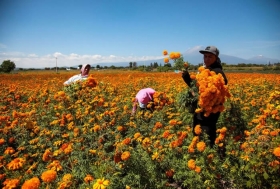 Hombres y mujeres son empleados activando la econom&iacute;a de la zona  