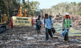 Tren Maya: Juez federal ordena suspensi&oacute;n definitiva de obras en tramo 5