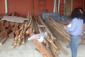 Clausuran almac&eacute;n con madera 