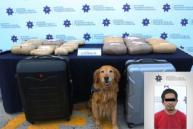 La persona fue detenida y puesta a disposici&oacute;n del Ministerio P&uacute;blico Federal