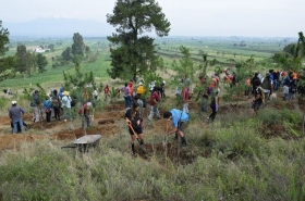 En el cerro Zapotecas,  plantan m&aacute;s de 20 mil &aacute;rboles