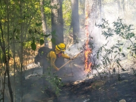 Icendio forestal en el volc&aacute;n Iztacc&iacute;huatl fue liquidado