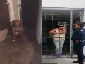 Tambi&eacute;n maltrataba a sus dos hijos   