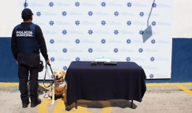 Calil&rdquo;, especializado en la detecci&oacute;n de armas de fuego y explosivos, marc&oacute; positivo en uno de los paquetes