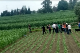 El cuerpo, encontraba boca abajo cerca de un terreno con plantaciones de ma&iacute;z
