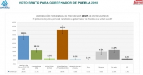 El estudio demosc&oacute;pico lo elaboraron las firmas Berumen e Ipsos