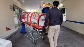 M&eacute;xico investiga una posible cepa mexicana del coronavirus