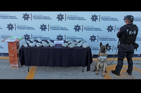 Efectivos del Grupo K9 llevaban a cabo labores de vigilancia en una paqueter&iacute;a