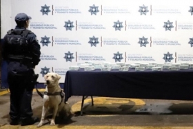 Polic&iacute;as Municipales adscritos a la Unidad Canina
