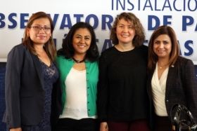 Instalaci&oacute;n de la plataforma para el Observatorio